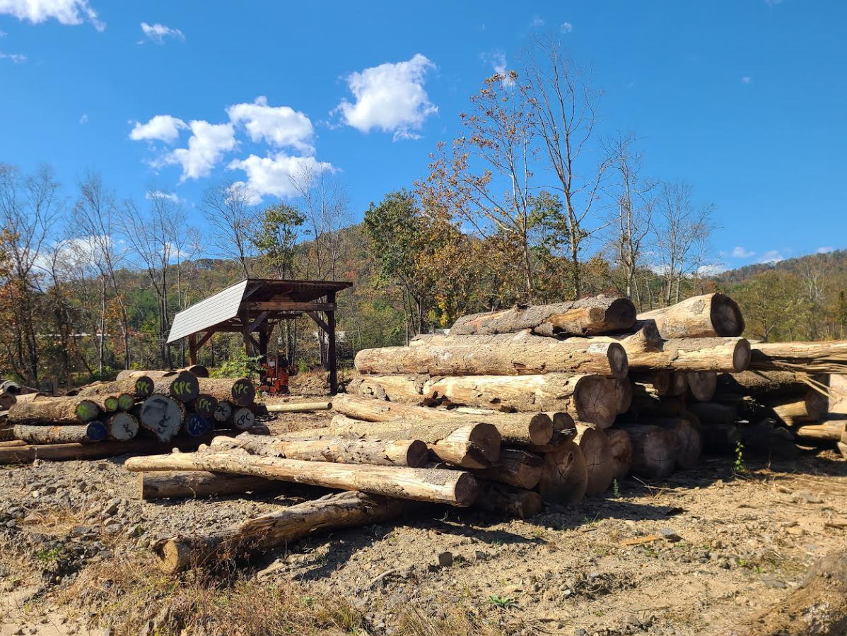 Logs piled near a covered structure under a blue sky, mountain background.