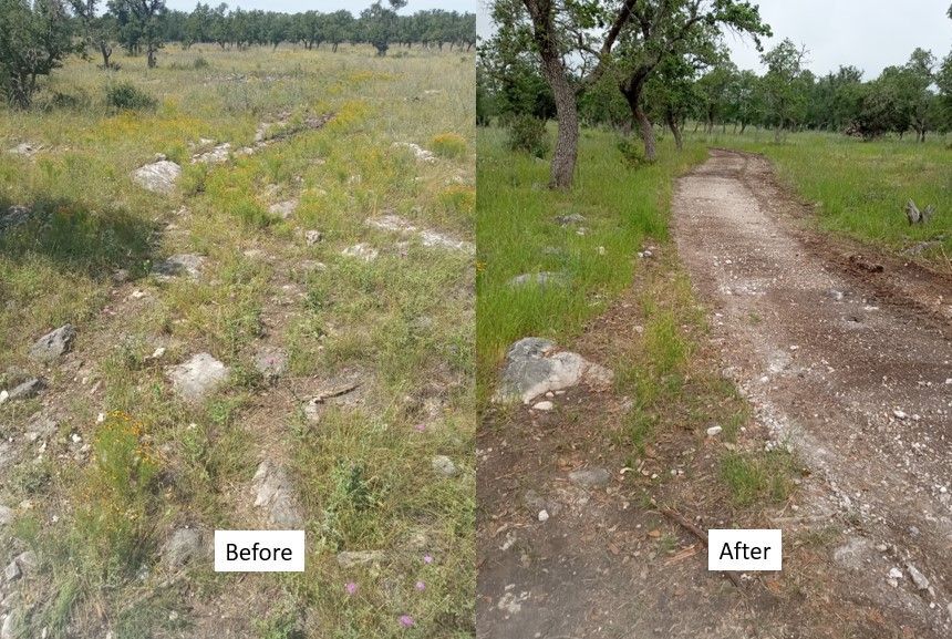 Before-and-after view of a grassy path beside trees and rocks, showing a cleared dirt trail on the right.