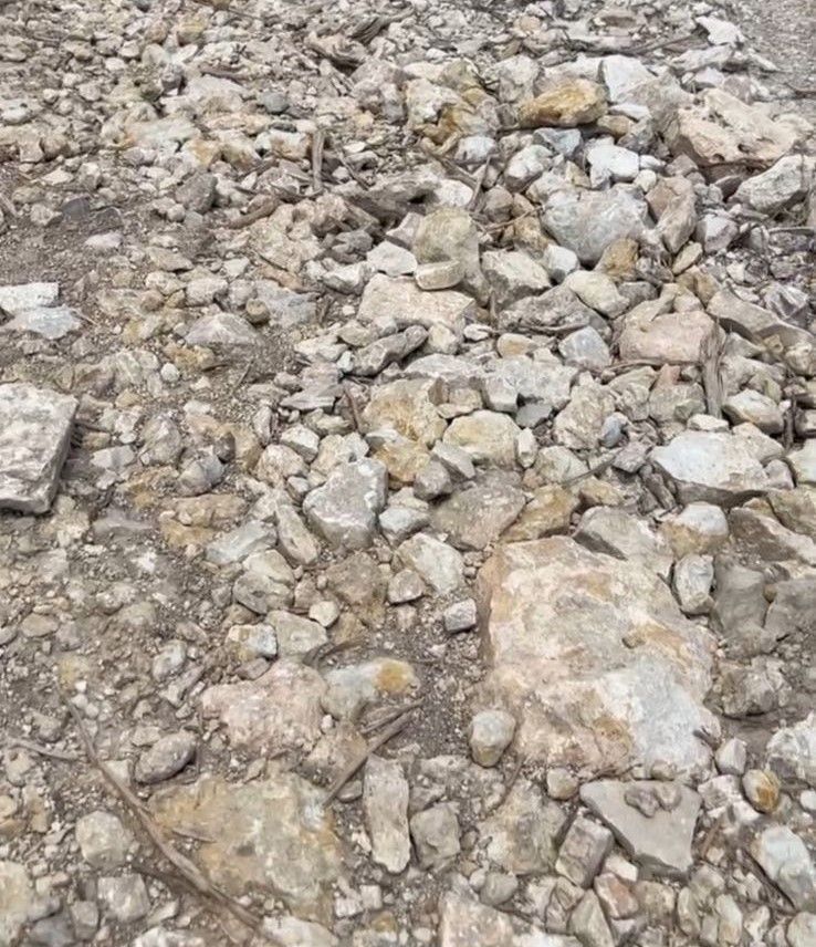 Rocky dirt ground with scattered small stones and gravel.