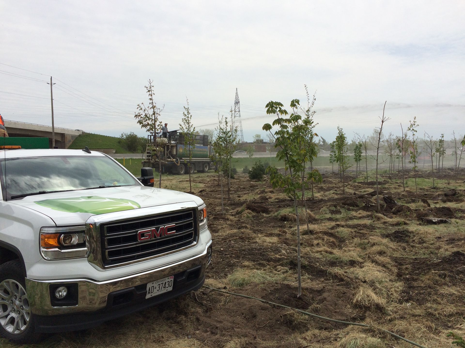 A white gmc truck is parked in a field with trees in the background.