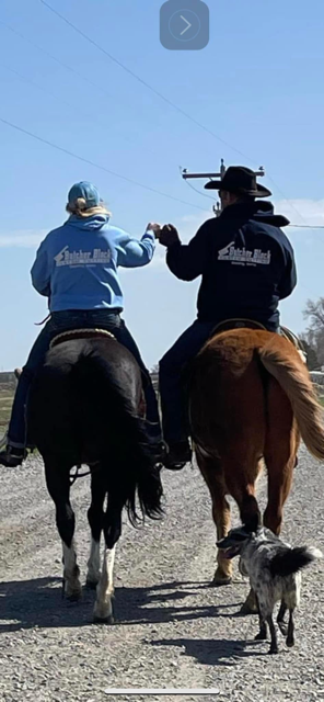 Two people are riding horses down a dirt road with a dog.