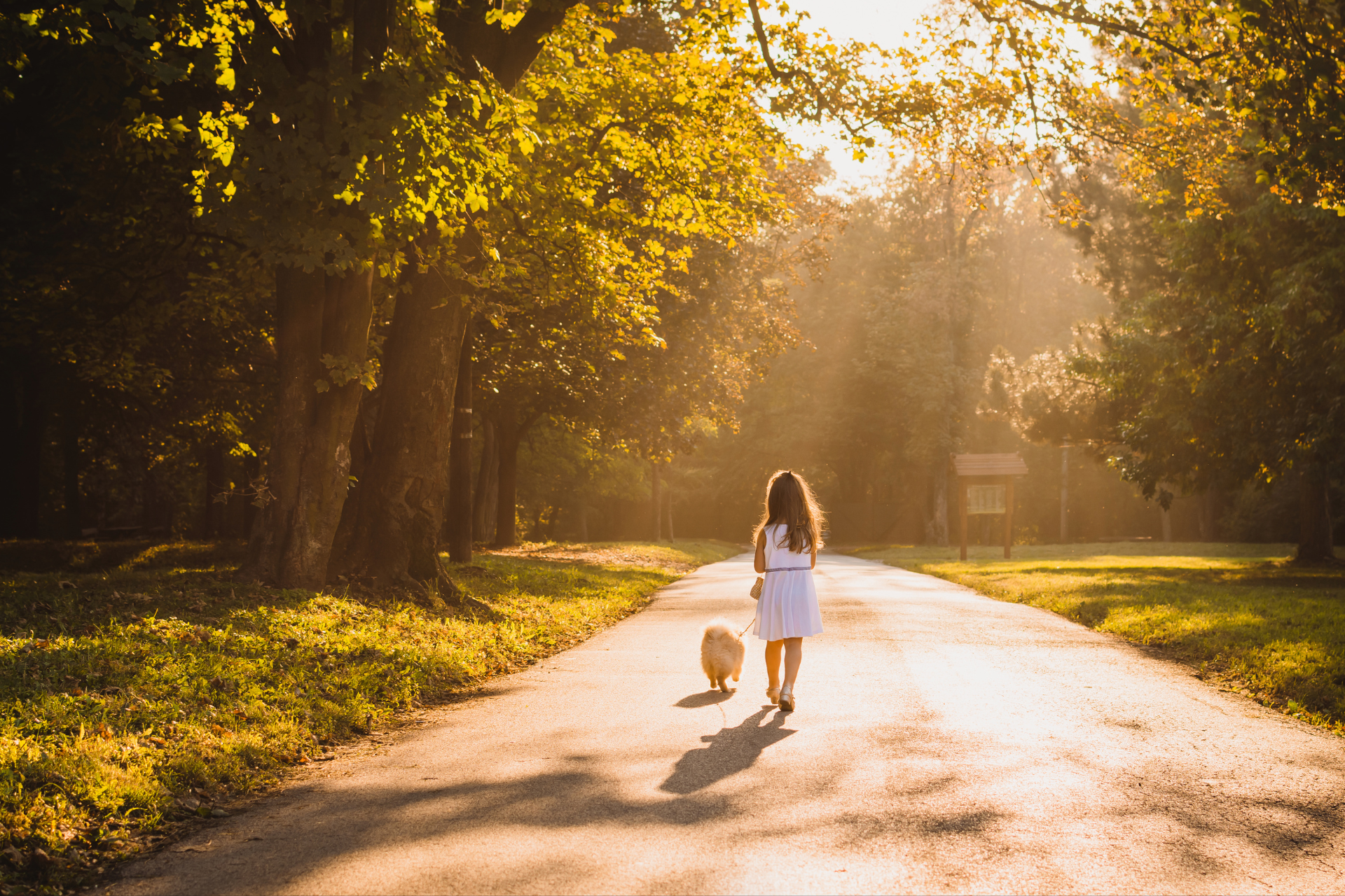 A woman is walking down a road with a dog.
