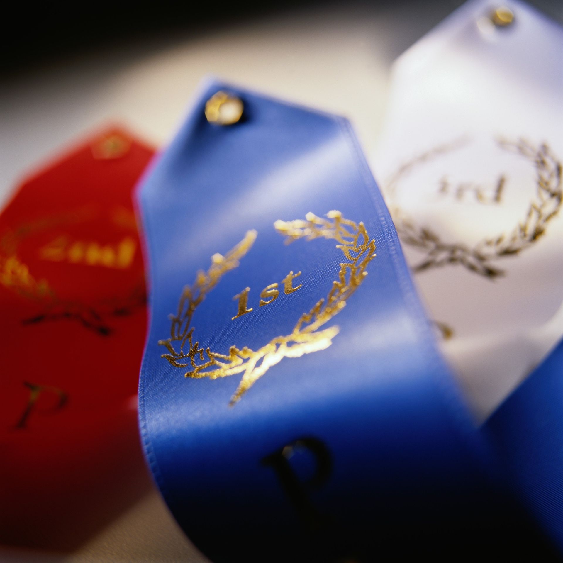 A red white and blue ribbon with the word 1st on it