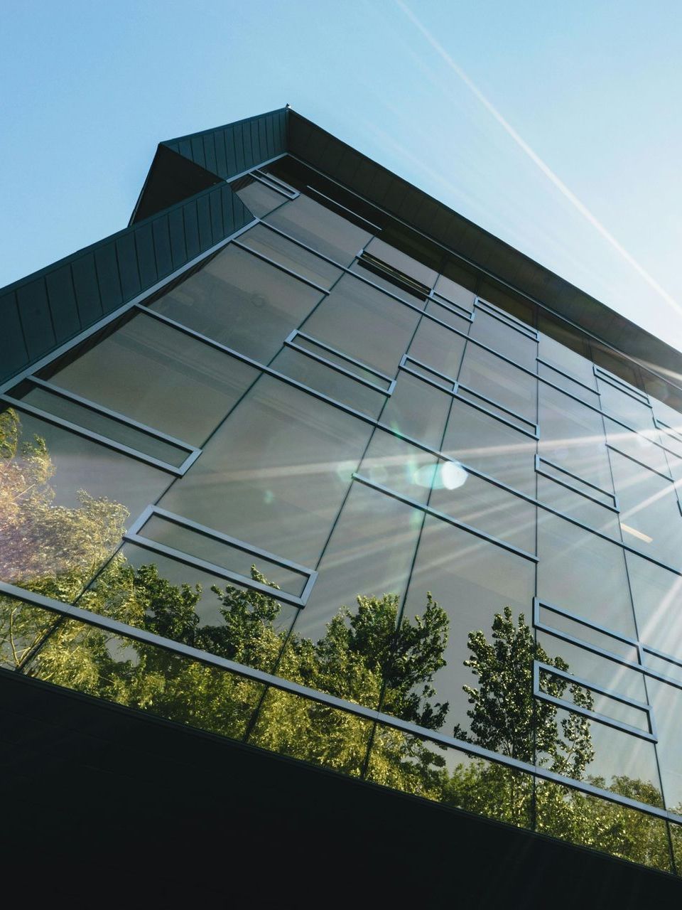 Looking up at a building with trees reflected in the windows