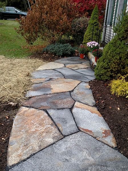 Stone garden pathway bordered by shrubs and mulch in a residential yard