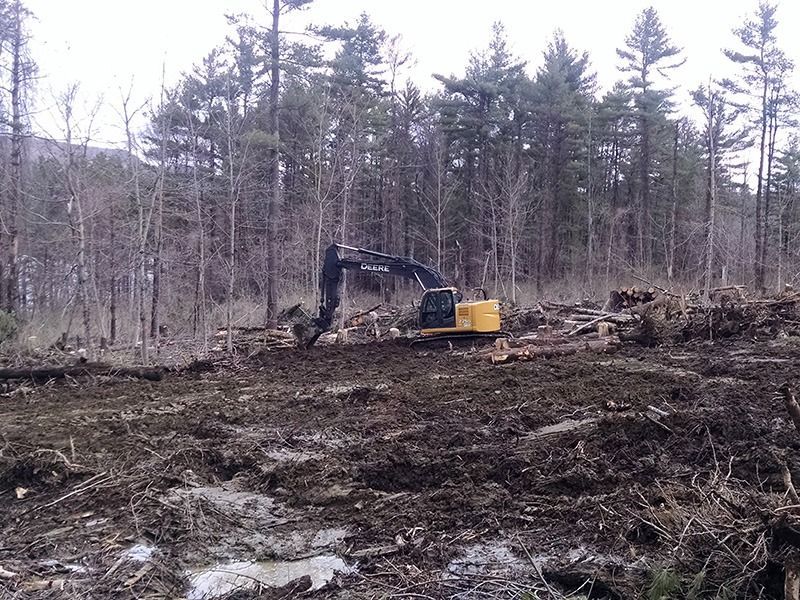 Excavator clearing a muddy forest clearing with felled trees and pine trees in the background
