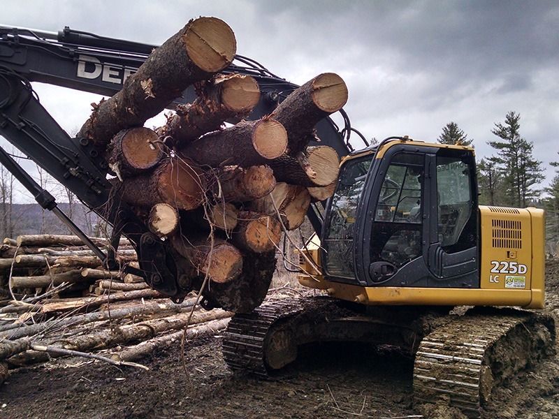 Logging machine lifting a bundle of cut logs in a forest clearing under cloudy skies