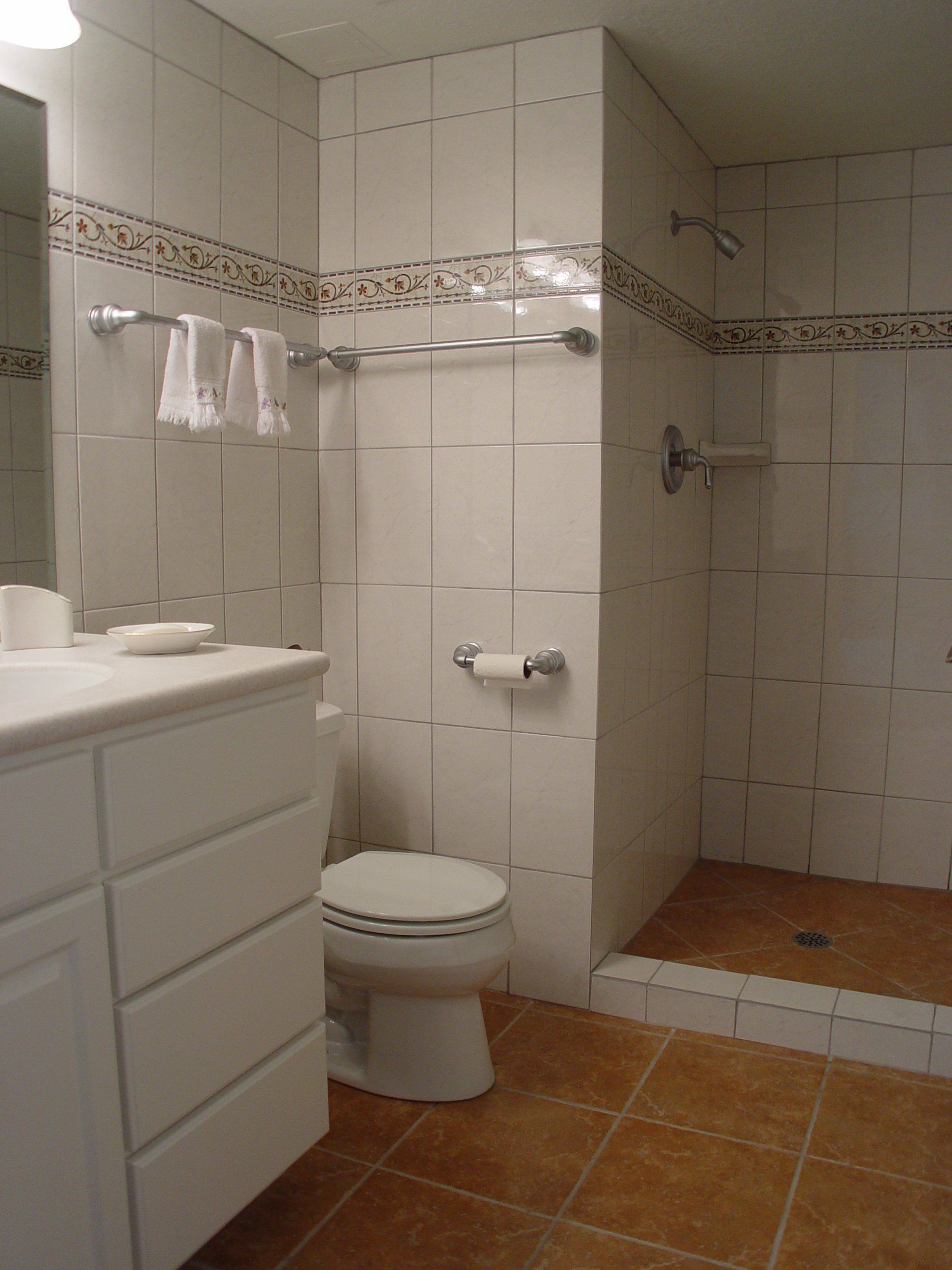 A bathroom with a toilet a sink and a walk in shower