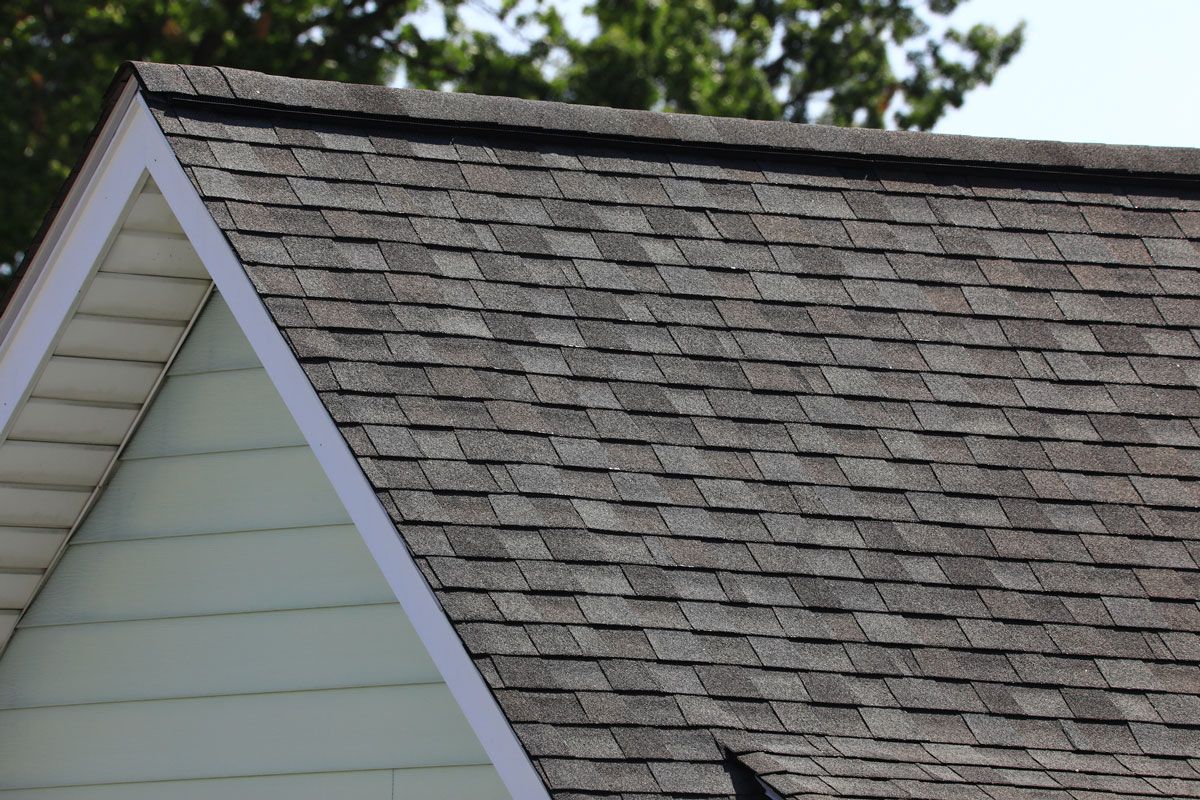 Close-up of a house roof with gray asphalt shingles and white trim.