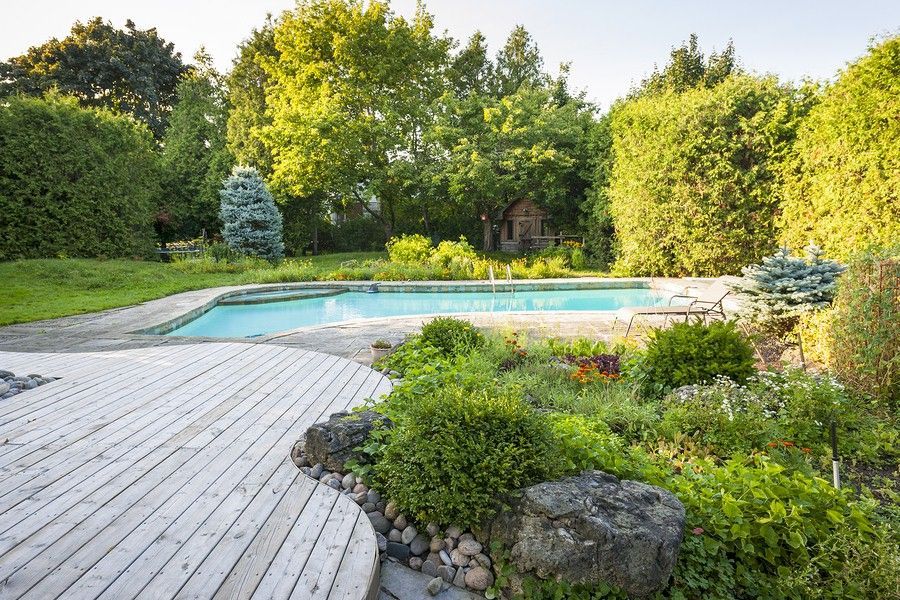 Wooden deck overlooking a pool in a backyard surrounded by greenery and trees.