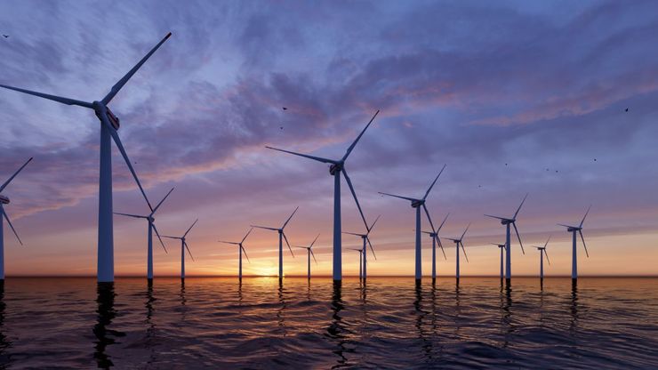 Leading Player in Global Energy Transition | Purus
