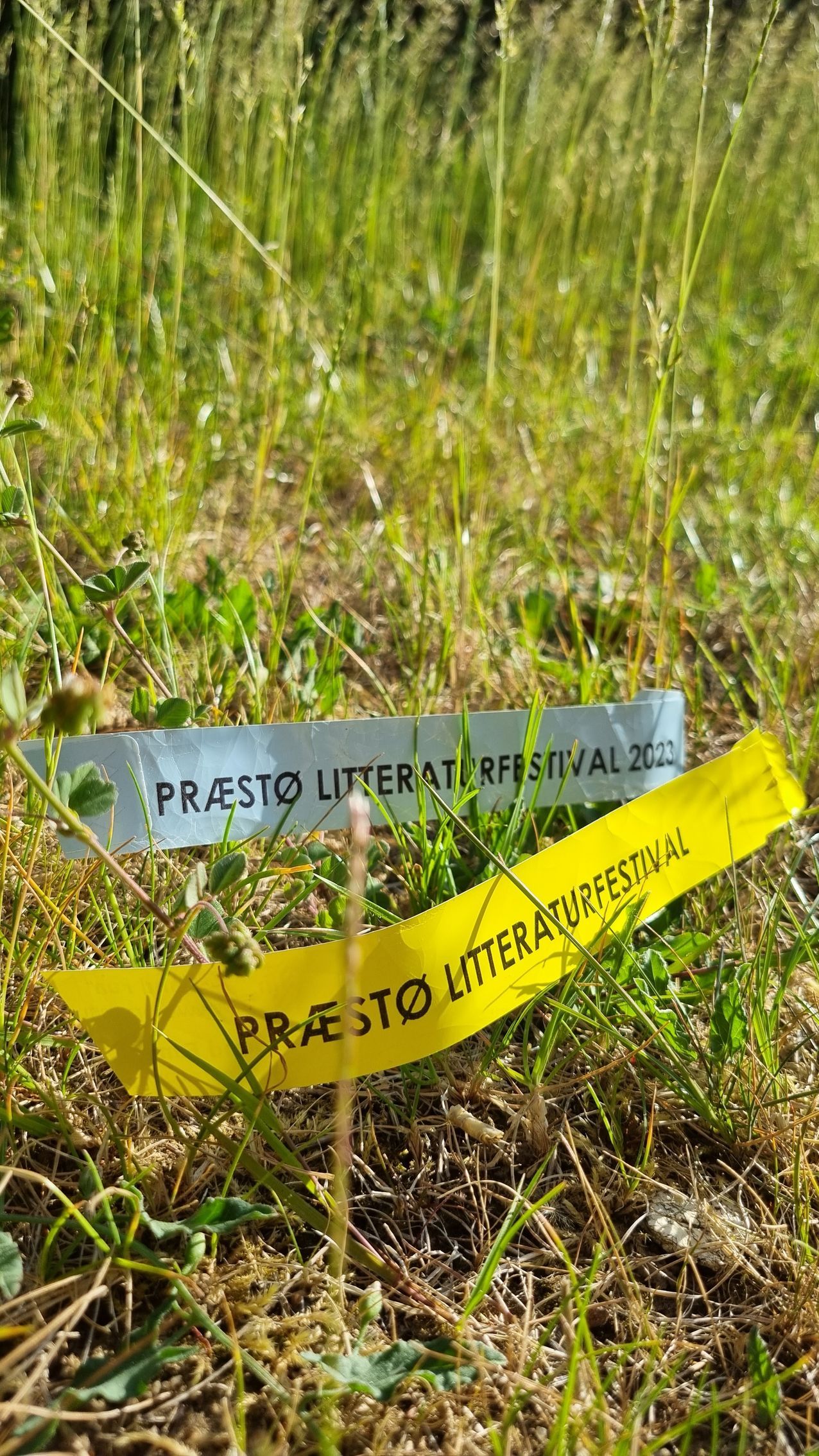 En gul og sølv tape ligger i græsset med Præstø Litteraturfestival skrevet på