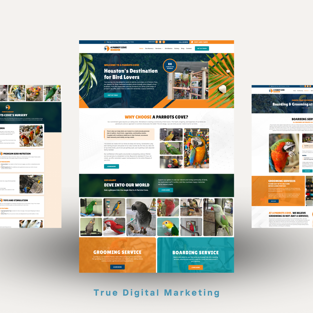Pet Store Website designer