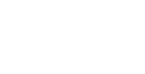 Great Sleep Dental logo