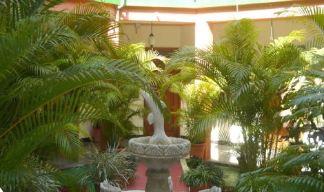 Patio interior con exuberantes palmeras y una pequeña fuente de piedra bajo la brillante luz del sol.