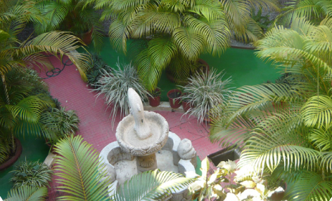 Fuente de piedra rodeada de exuberantes palmeras verdes y un sendero de jardín rosa.