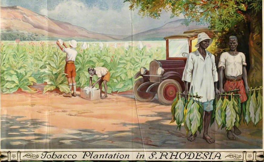 Frank C. Papé, Tobacco Plantation Rhodesia (1928), licensed under CC BY 3.0