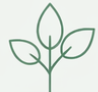 Minimal green leaf and stem line icon on a white background