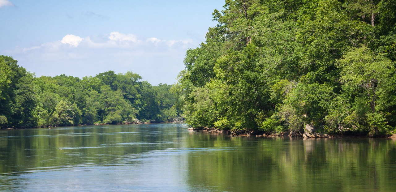 A calm river flowing through a lush green forest under a partly cloudy sky.