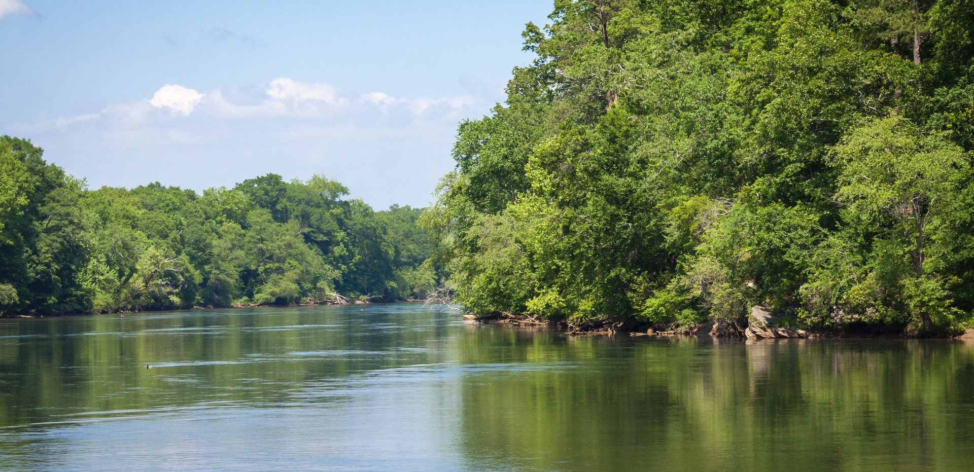 A calm river flowing through a lush green forest under a partly cloudy sky.
