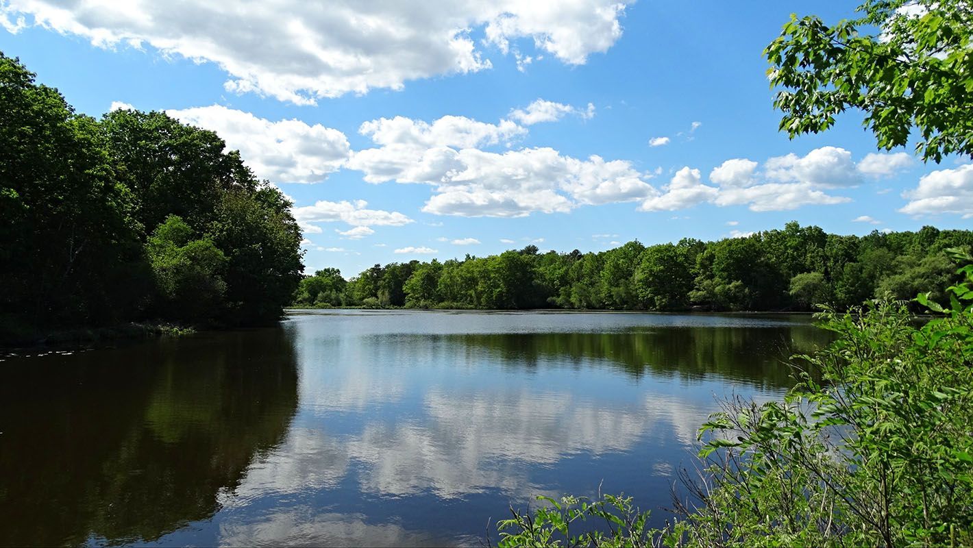 Lake surrounded by trees reflecting blue sky and clouds.