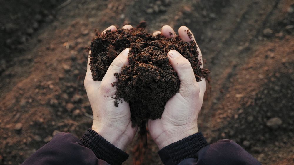 Hands Cupped, Holding Dark, Rich Soil — Greenline Recycling in Redland Bay, QLD