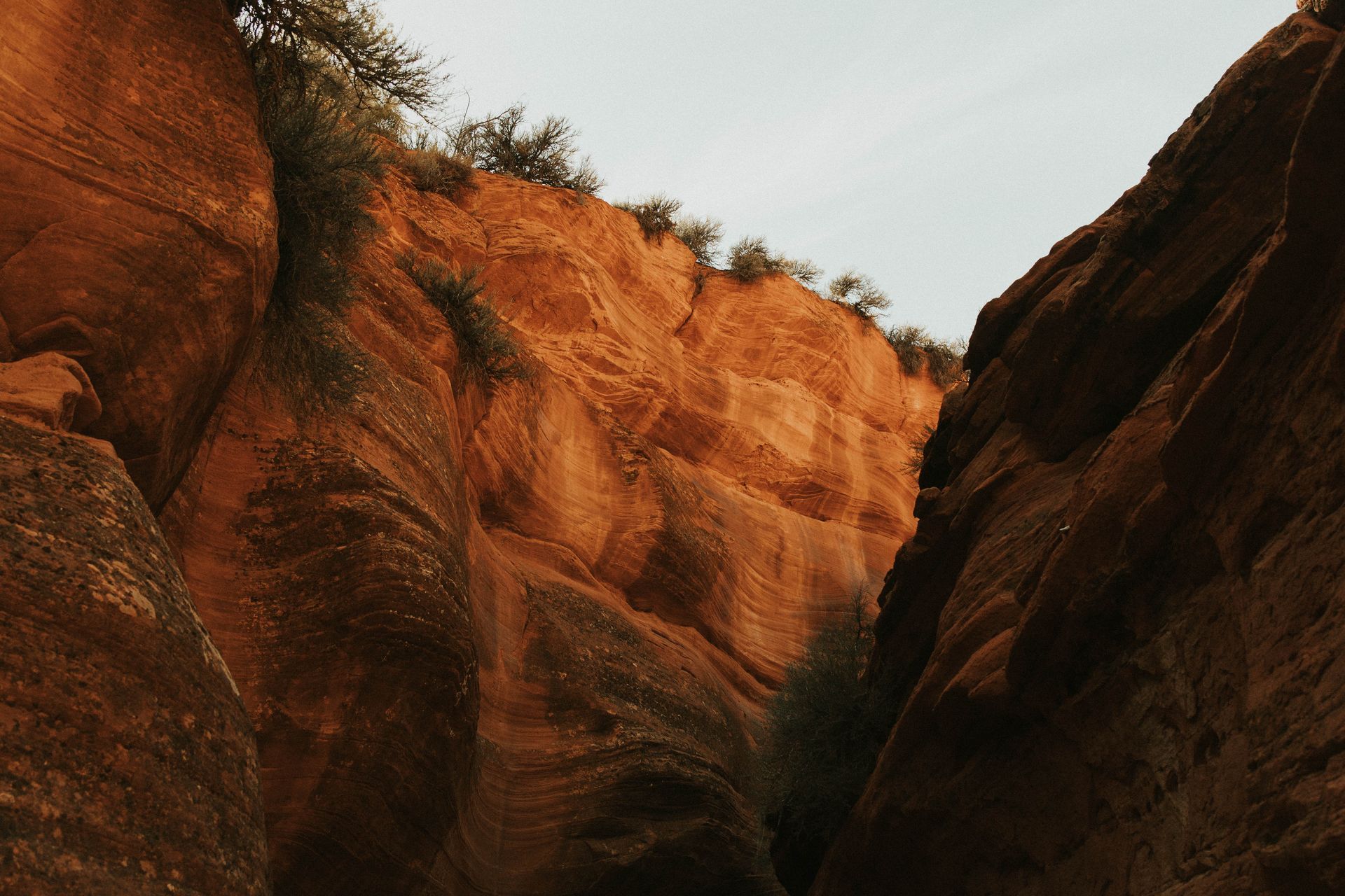 Looking up at steep, rust-colored rock canyon walls with small shrubs growing along the top edge against a bright sky.