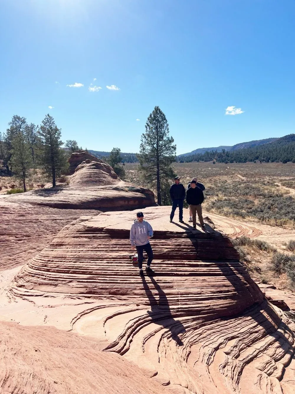 Hikers walking on a sunlit desert trail with pine trees and hills under a clear blue sky