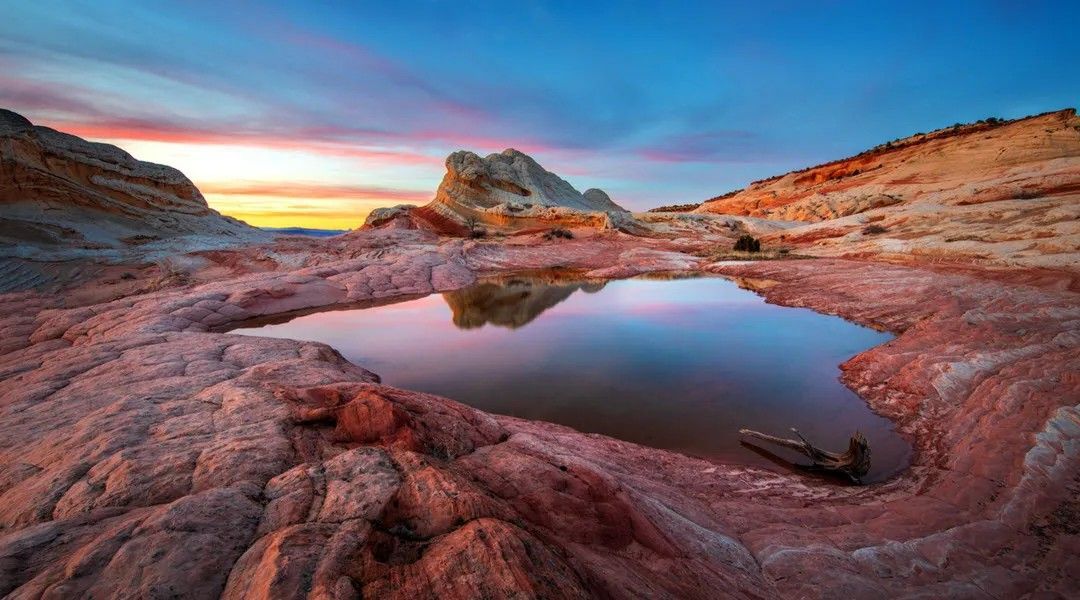 There is a small pond in the middle of the desert.