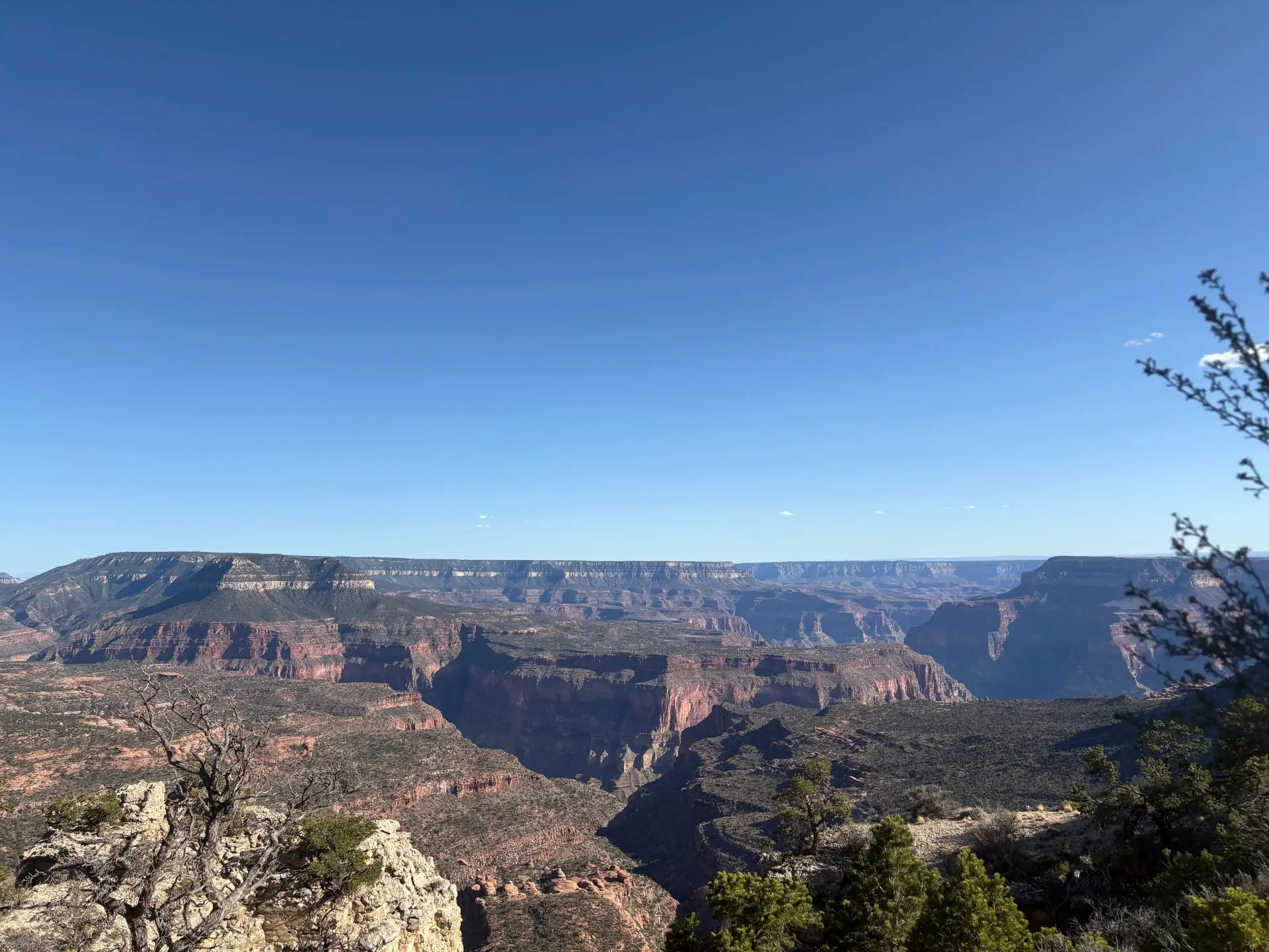 Wide canyon landscape with layered red cliffs under a clear blue sky, viewed from a lookout.
