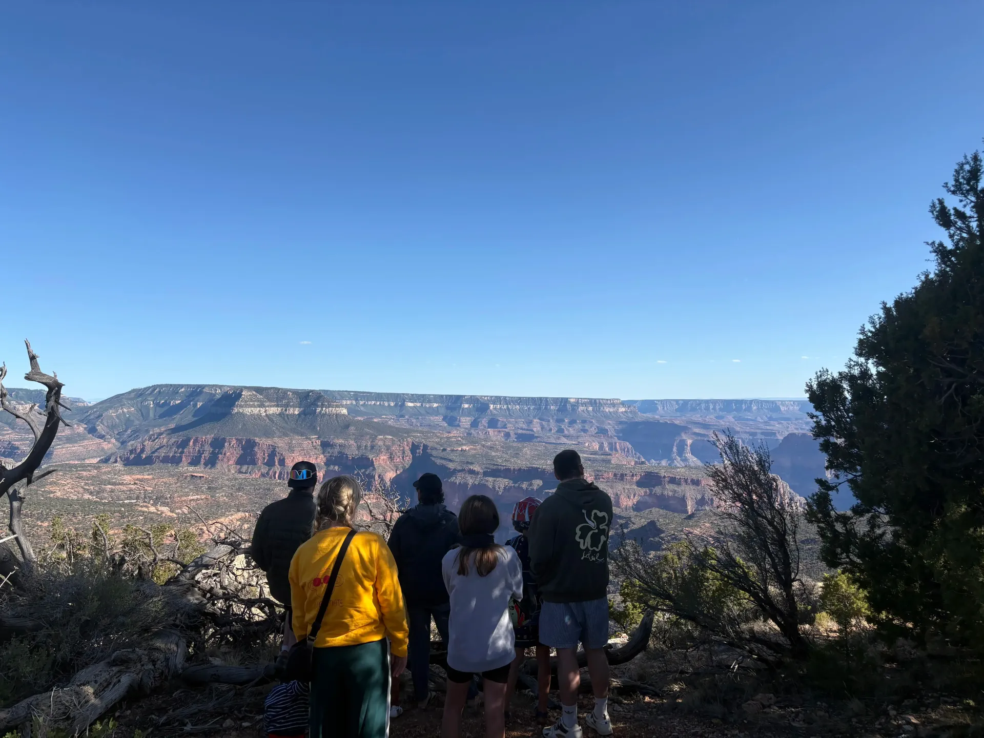 Group of people overlooking a wide canyon from a scenic viewpoint under a clear blue sky
