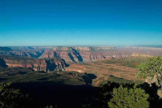 Wide canyon landscape with layered red cliffs under a clear blue sky and green shrubs in the foreground