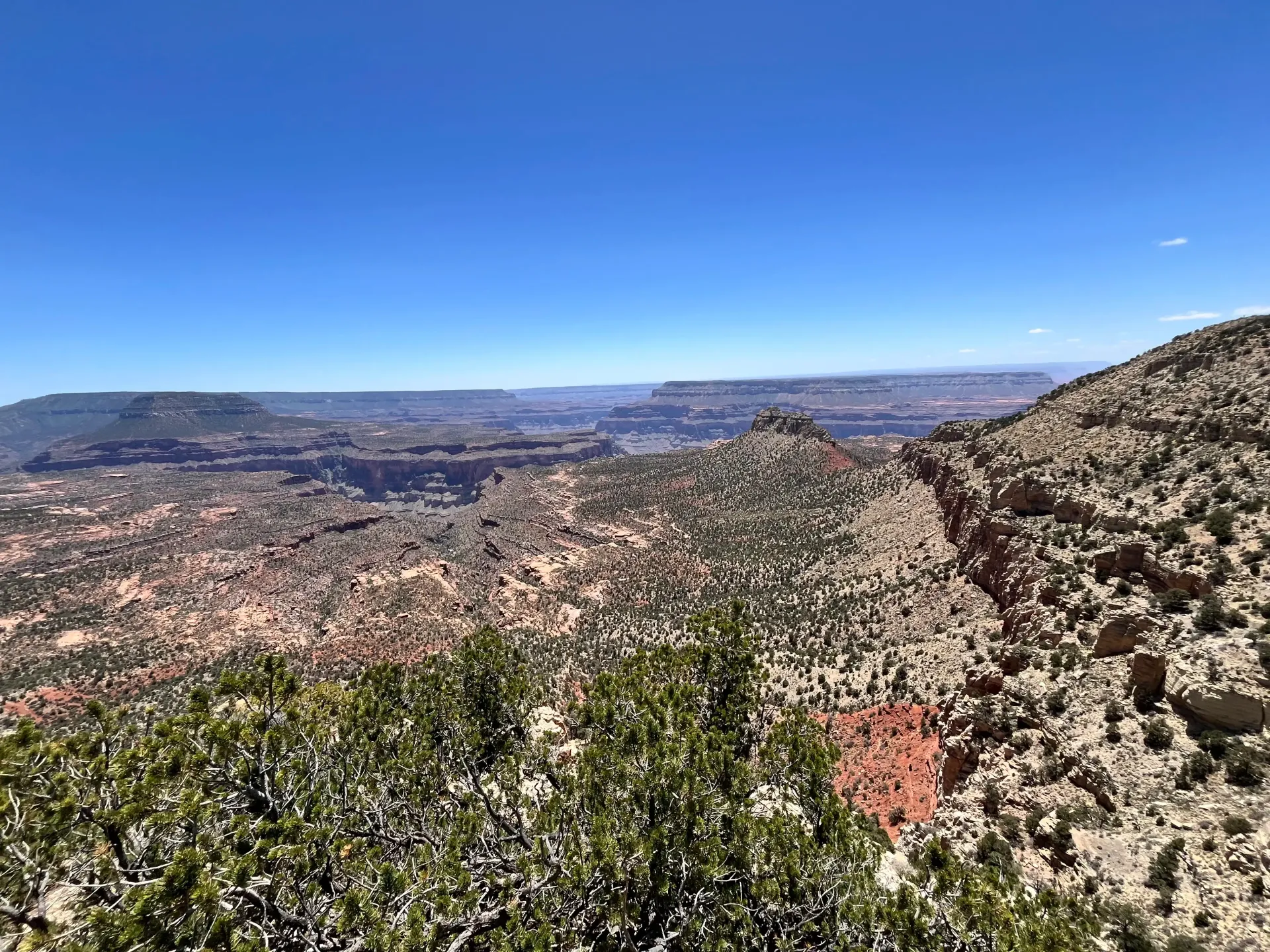 Rocky desert canyon landscape under a clear blue sky, with distant mesas and scrubby foreground vegetation