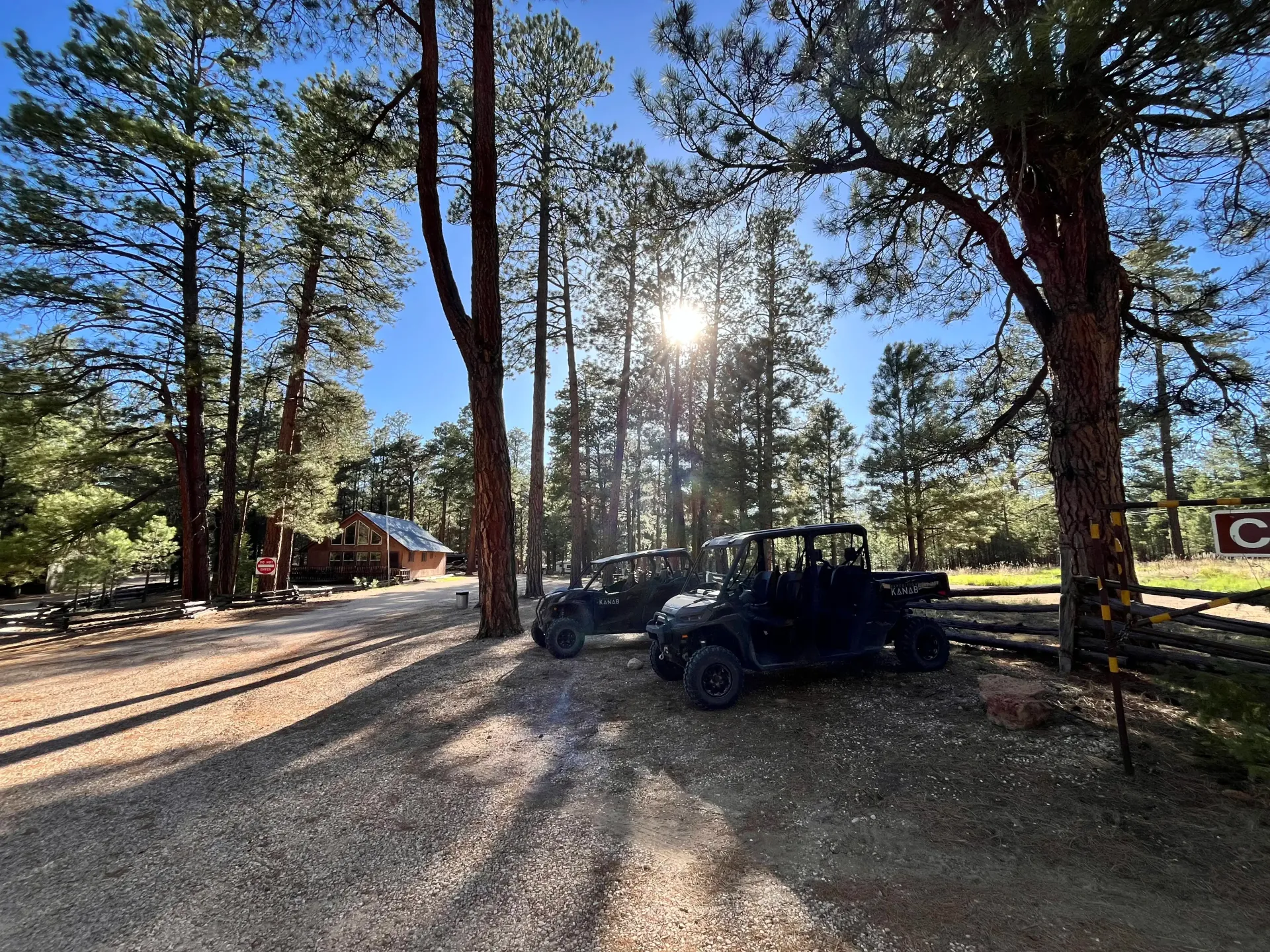 Sunlit wooded campsite with off-road vehicle parked on a dirt road