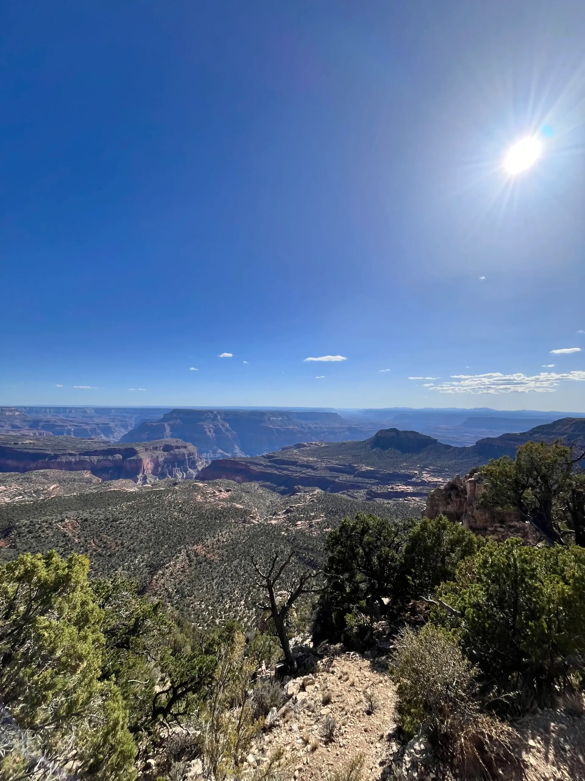 Sunny panoramic view of a valley and distant mountains under a clear blue sky, with shrubs in the foreground