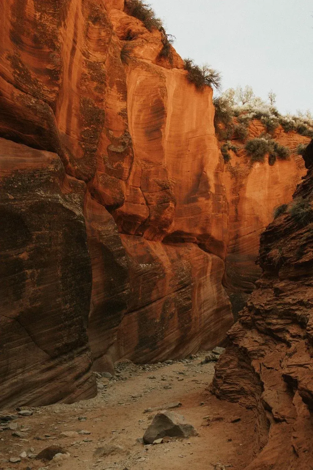 Narrow canyon with tall red sandstone cliffs and a sandy floor under a pale sky