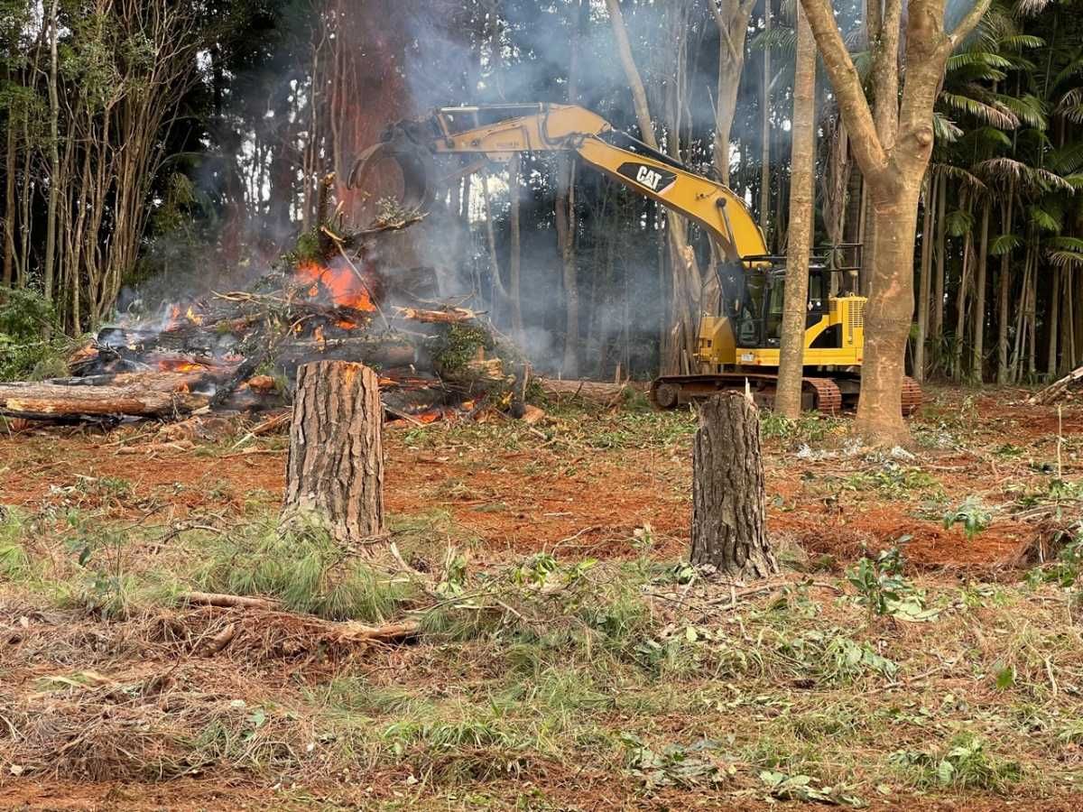 Yellow Excavator Clearing a Forest; a Fire Burns Nearby — Northstar Excavations in Ballina, NSW