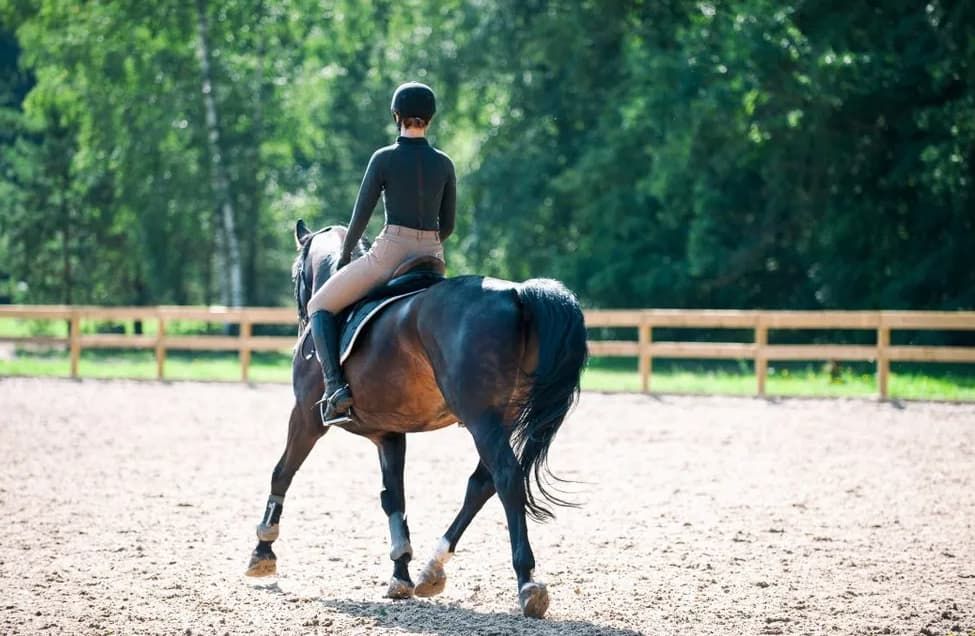A Woman Is Riding A Horse In A Dirt Arena — Northstar Excavations In Alstonville, NSW