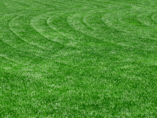 Lawn Care