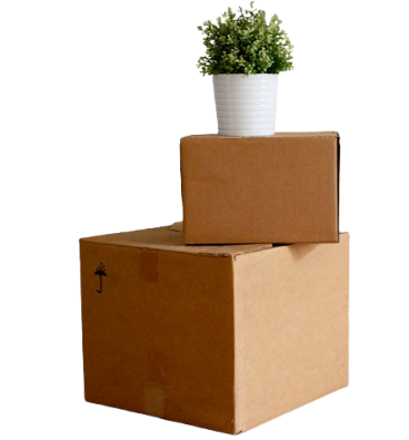 Two cardboard boxes stacked with a potted plant on top.