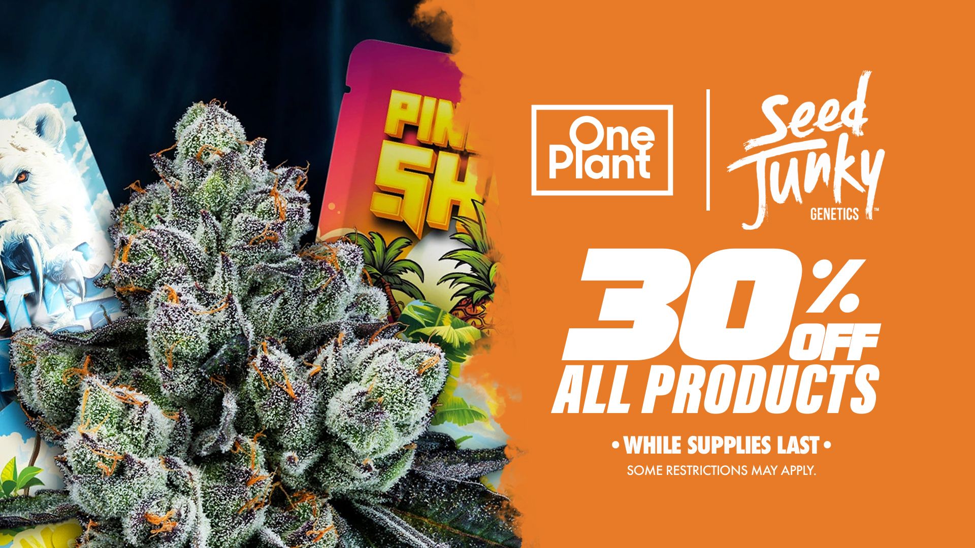 Best Prices