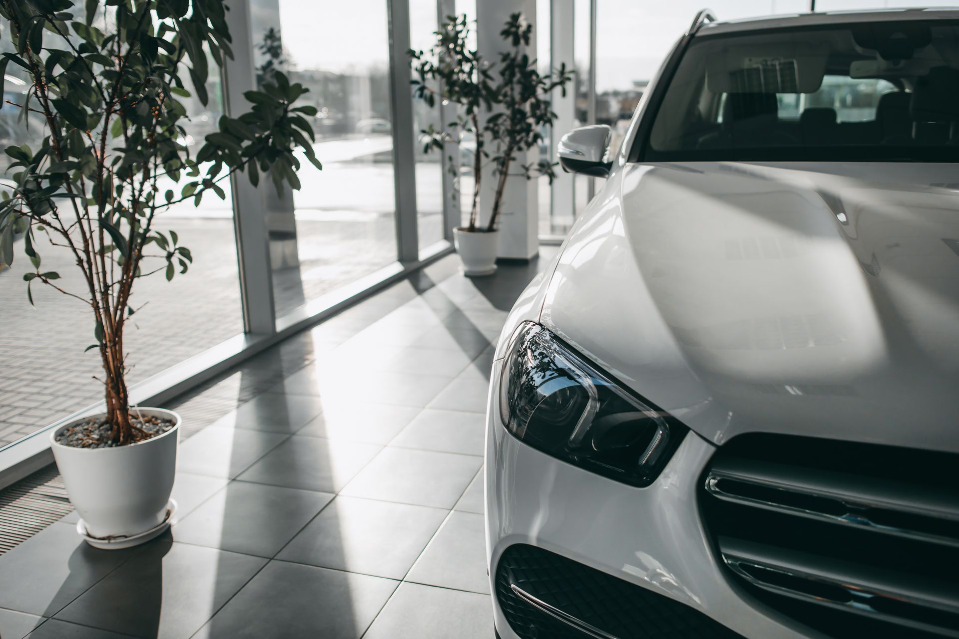 White car in a showroom with sunlight streaming in through large windows, potted plants nearby.