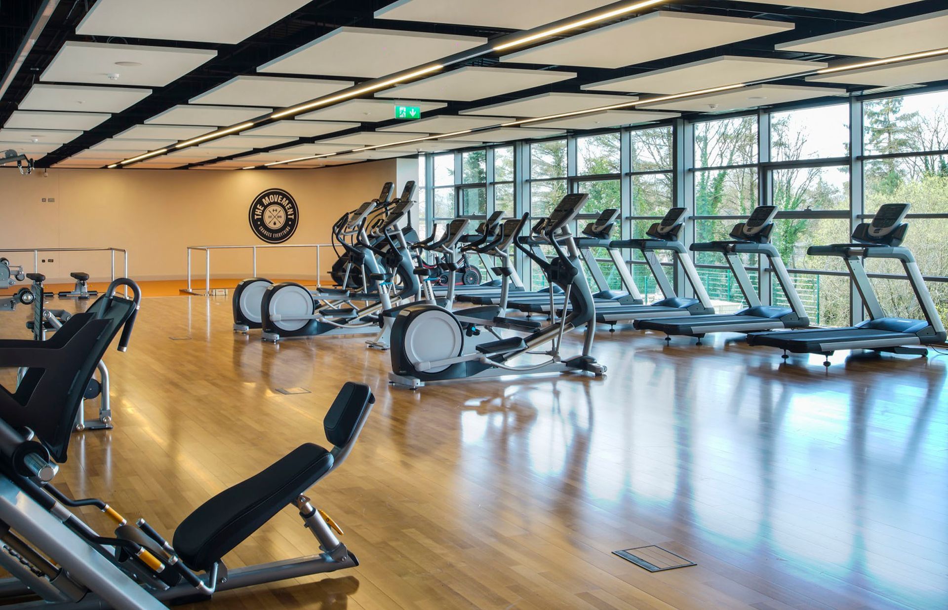 A large gym filled with lots of exercise equipment and treadmills.