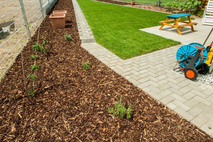 Gardening - Garden with fresh new lawn and bark mulch area to reduce weed growth