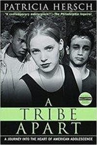 Book cover for