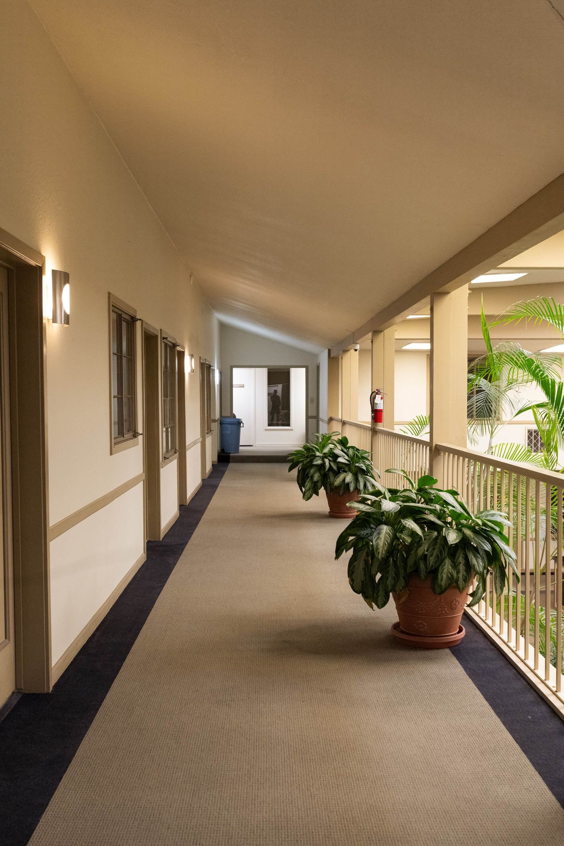 Office with desk, chair, two guest chairs, artwork, and plants. Brown and blue color scheme.