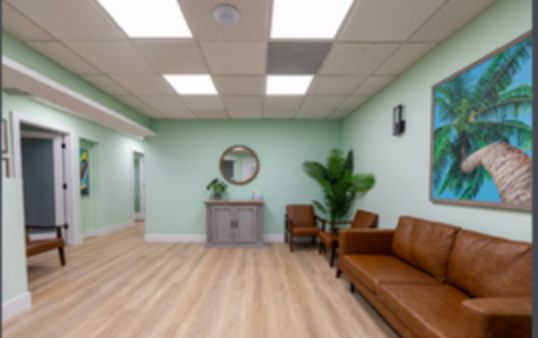 Bright waiting room with brown leather couch, potted plant, mirror, and tropical wall art