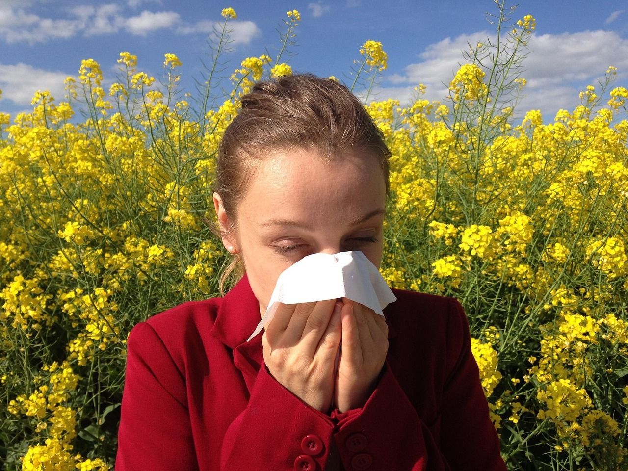 Person in a red jacket blowing their nose with a tissue in a yellow flower field under a blue sky