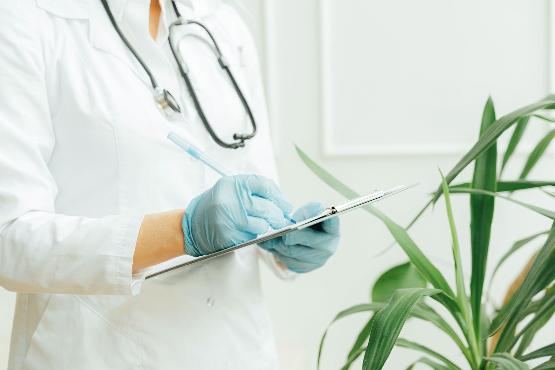 Doctor in white coat and blue gloves writing on a clipboard beside a green plant in a bright clinic room