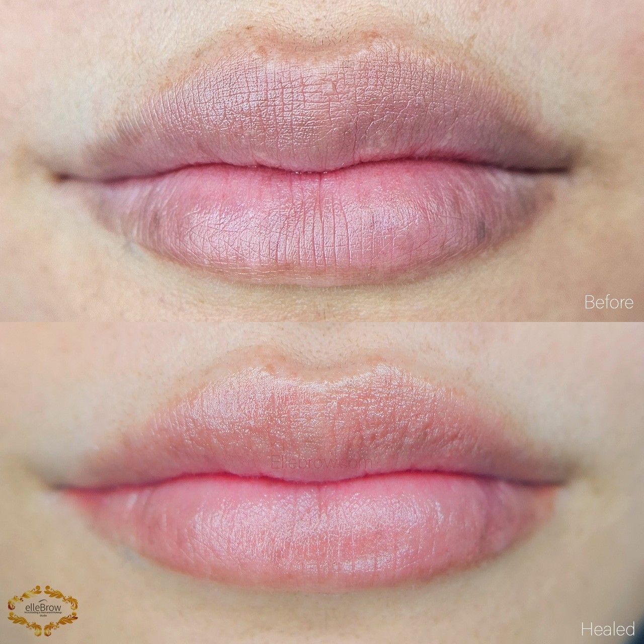 Lip Blushing NYC Lip Tattoo NYC by Experts at Ellebrow Manhattan